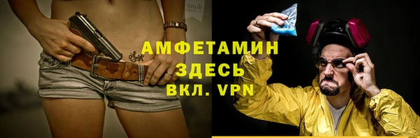 молекула духа Билибино