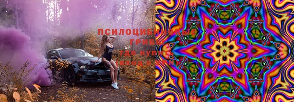 apvp Михайлов