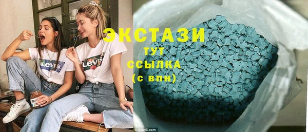 хмурый Белая Холуница