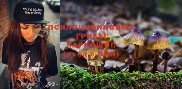 PSILOCYBIN Михайловка