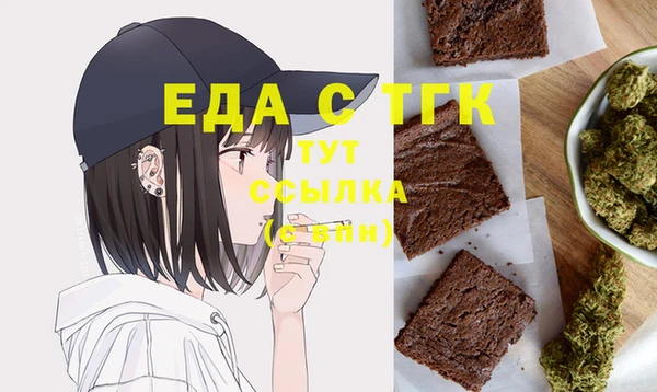 хмурый Белая Холуница