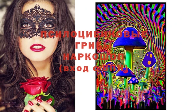 PSILOCYBIN Михайловка