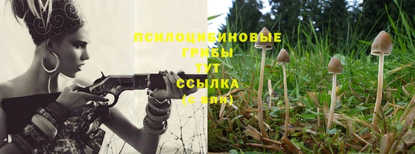 jwh Надым