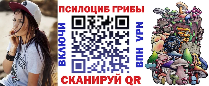 закладки  Хадыженск  Галлюциногенные грибы Cubensis 